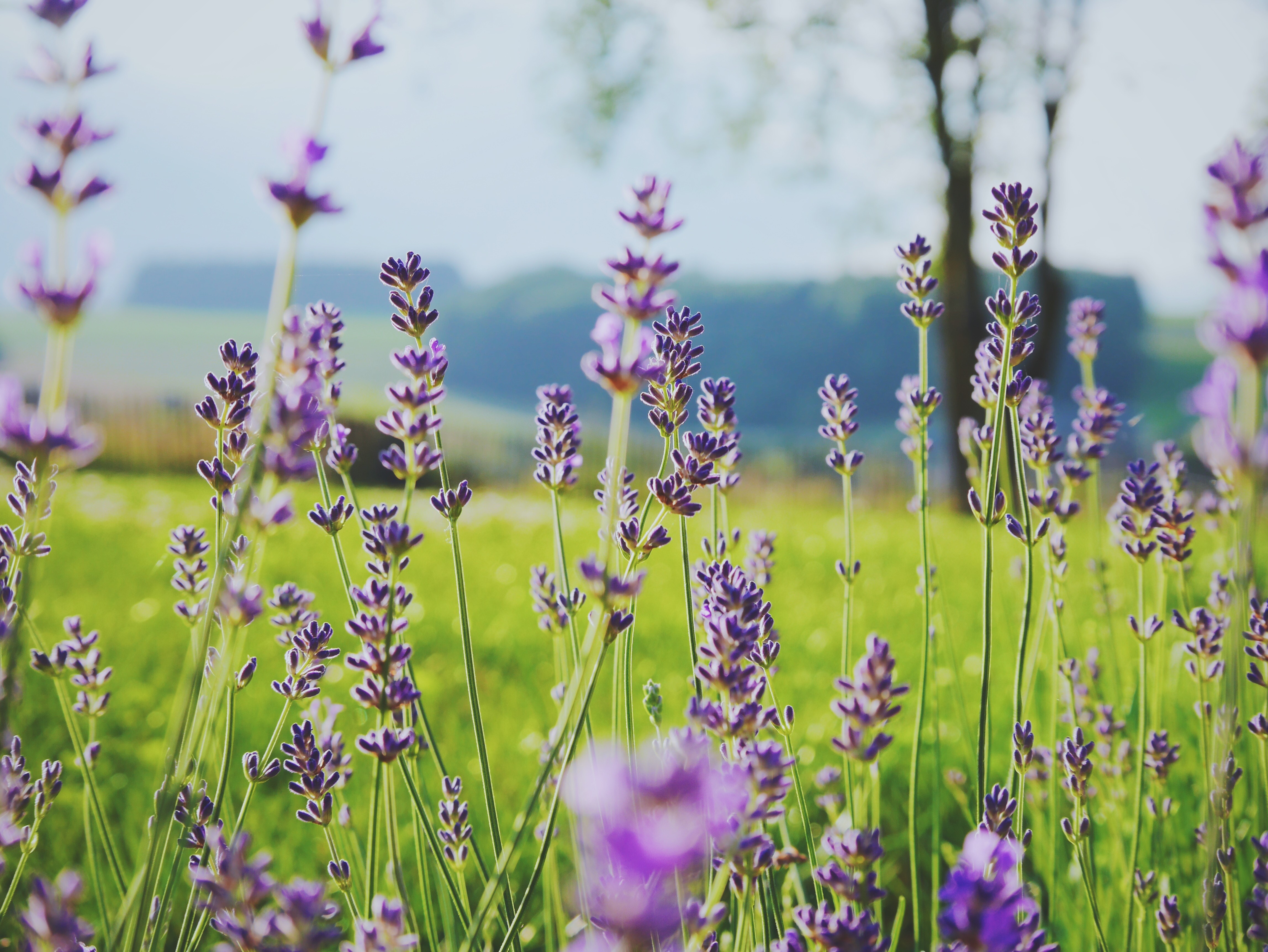 Beauty for Ashes: God Loves You