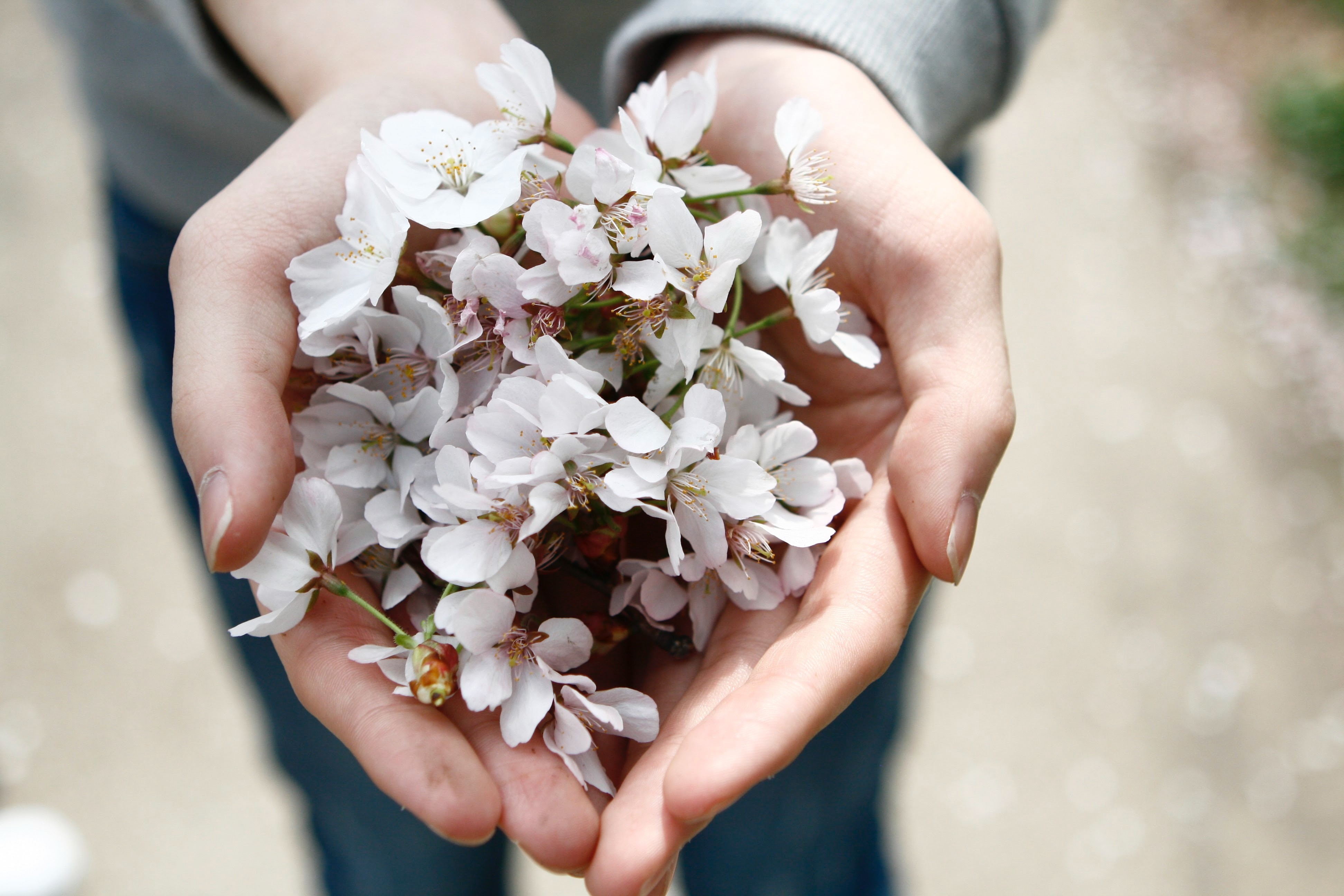 Beginning to Release Anxiety to God