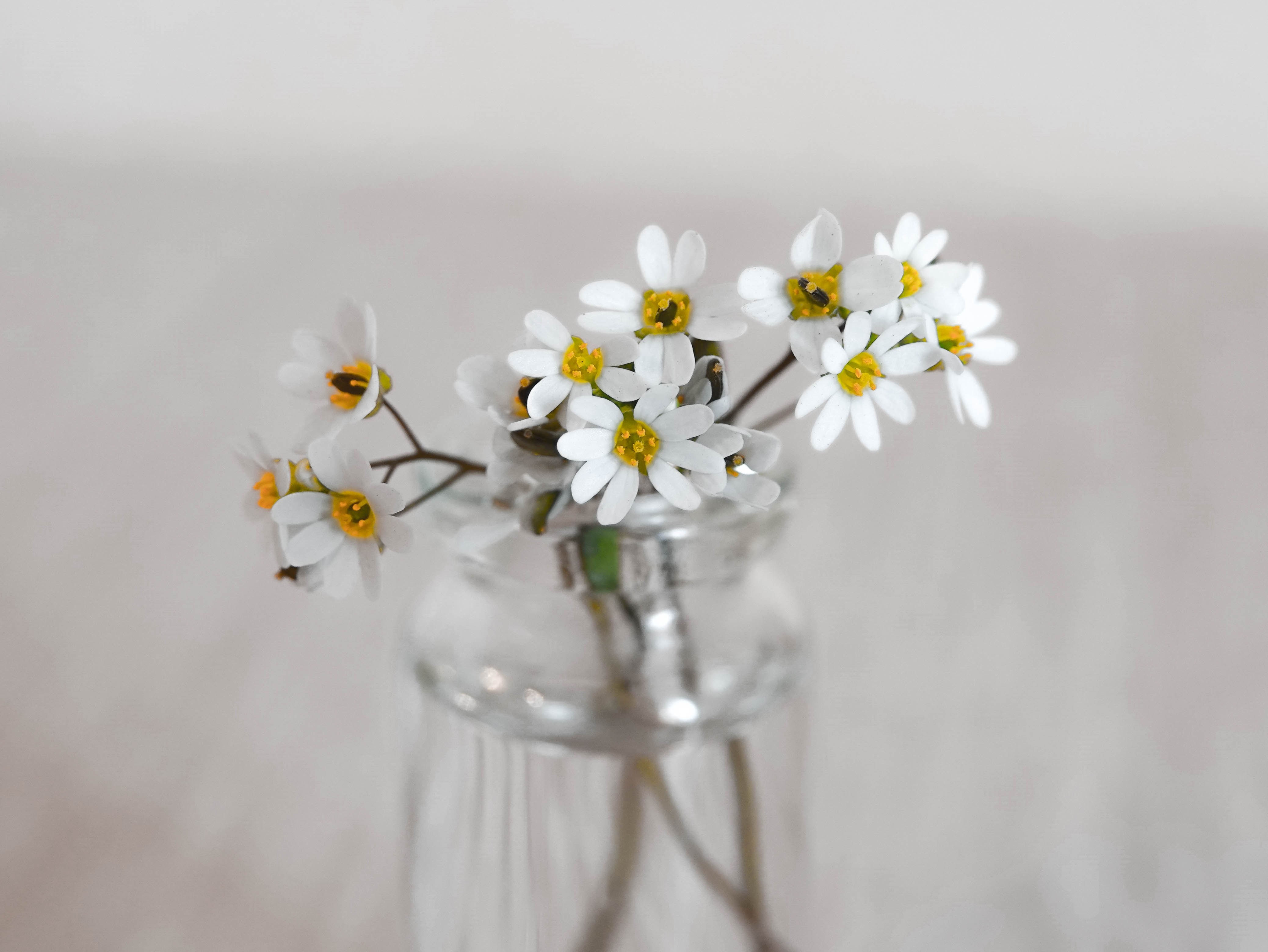 Finding Encouragement during Recovery