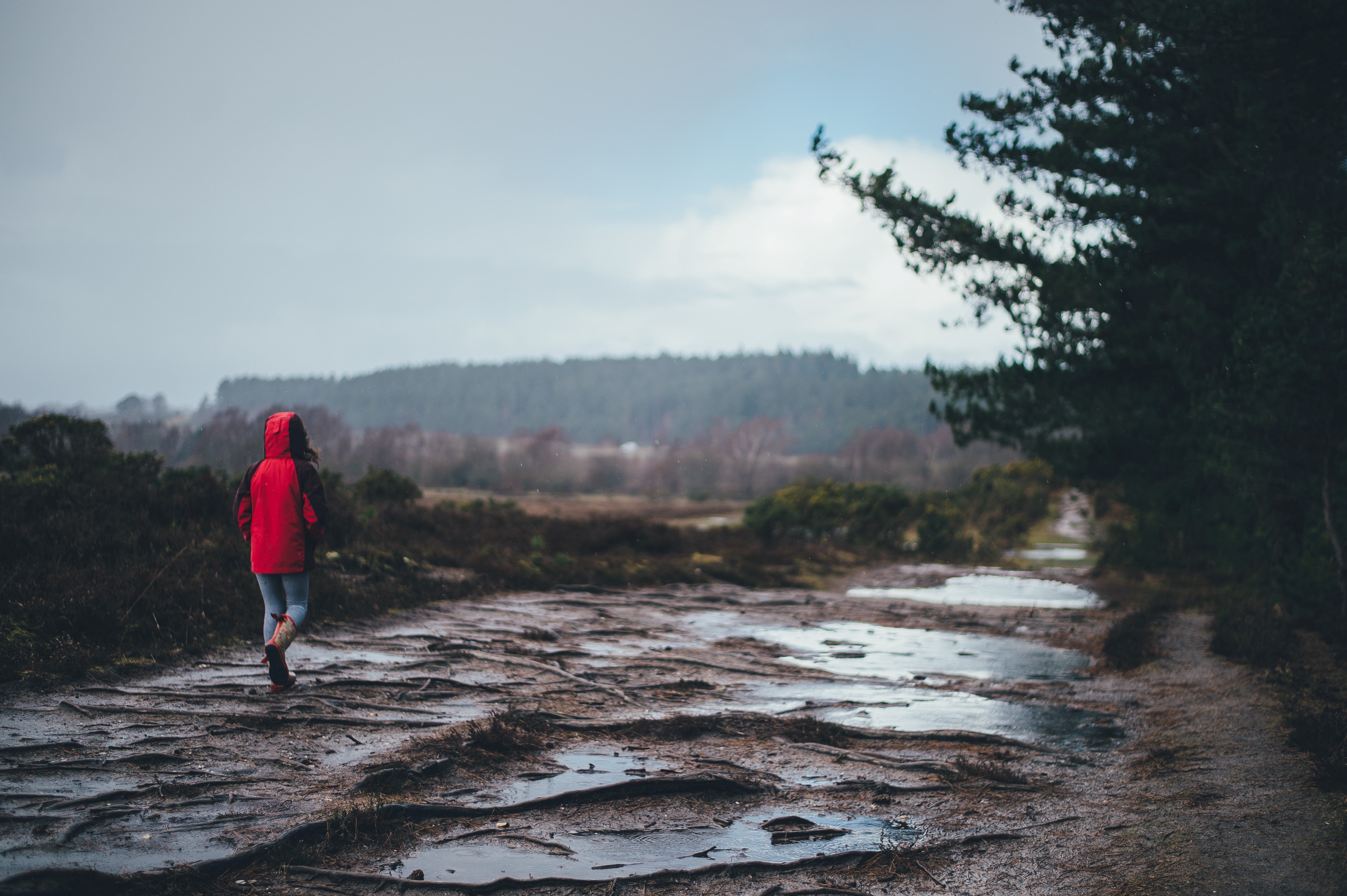 The Role Of Chronic Stress