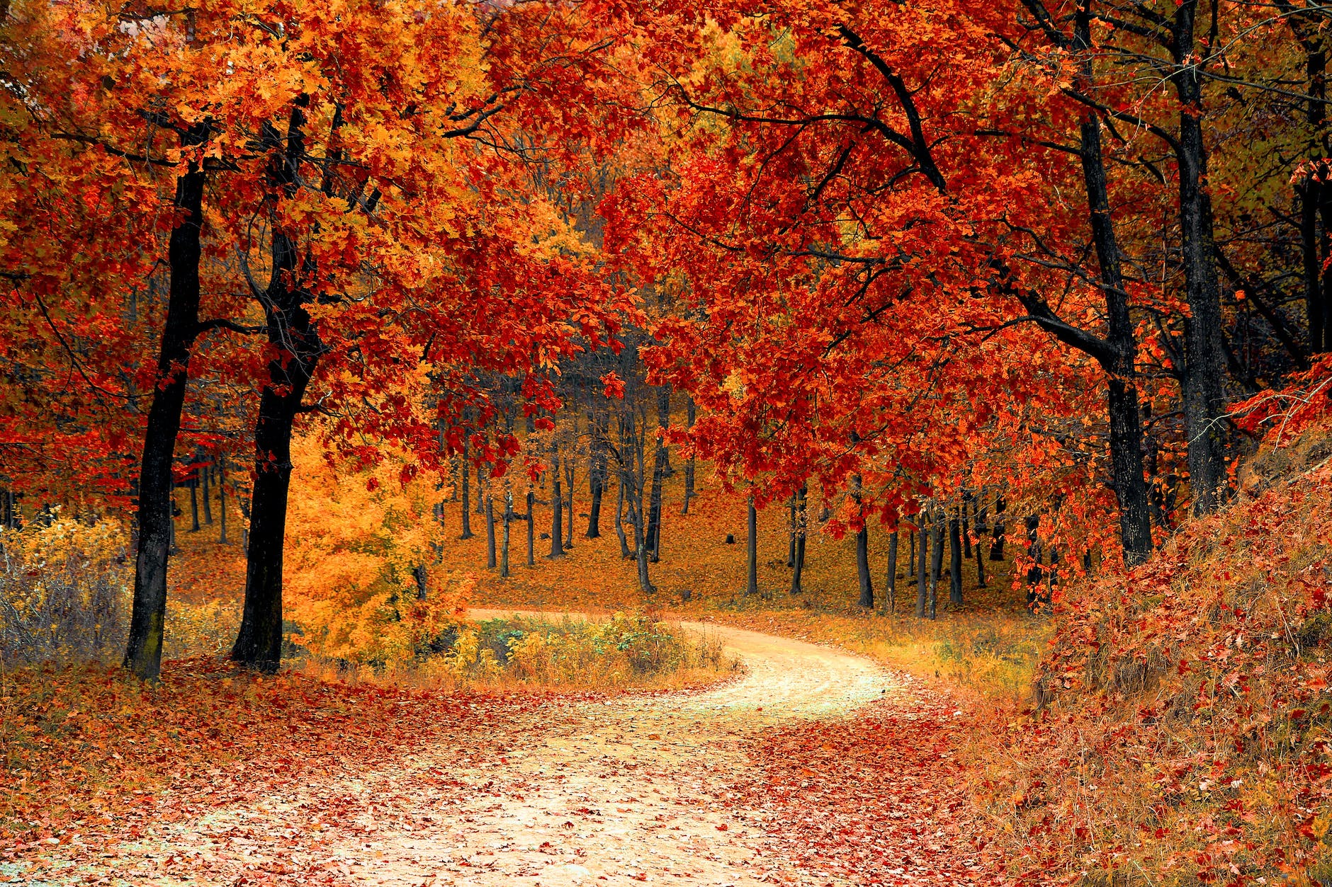The Power of Letting Things Fall